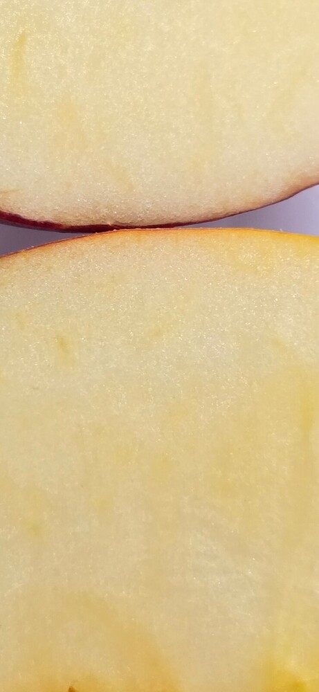 Resizer_17389388381759