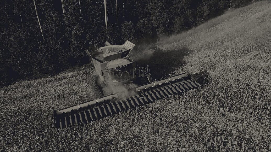 Maximum Corn Row Spacing General Gardening Growing Fruit