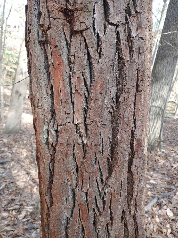 IMG_20240224_150929999