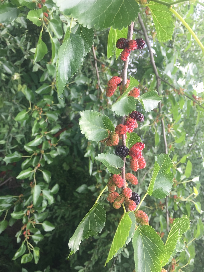 3F60C4C9-19B2-4C99-BCD7-9D9E7B6C825A