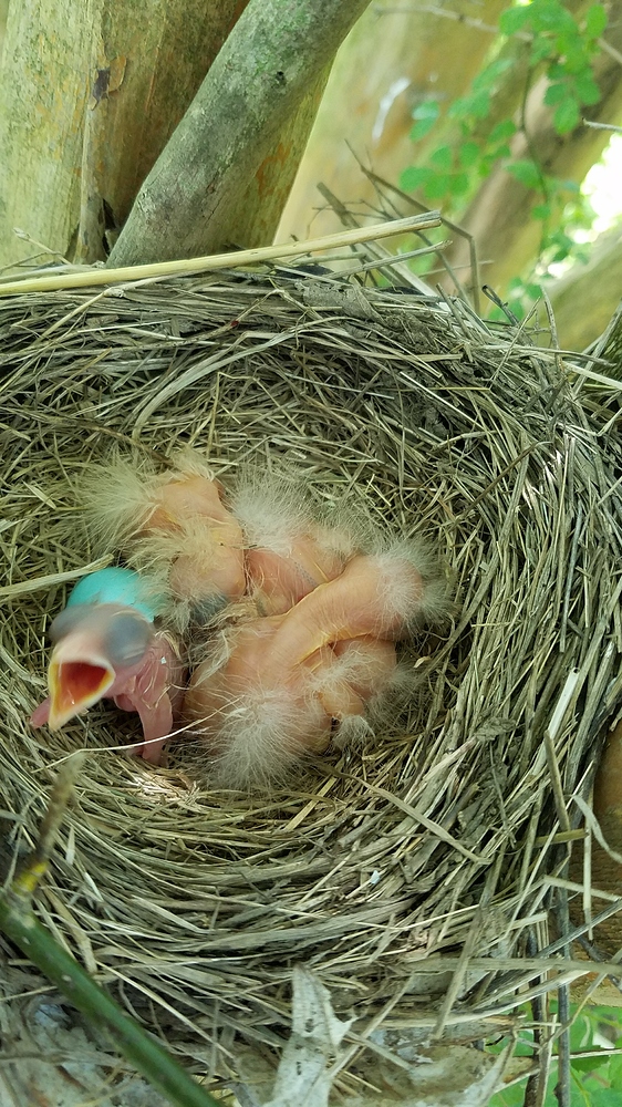 20180510_121310_resized