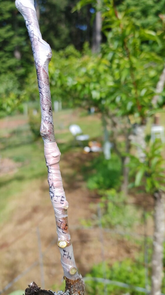 20230528_161643_HDR