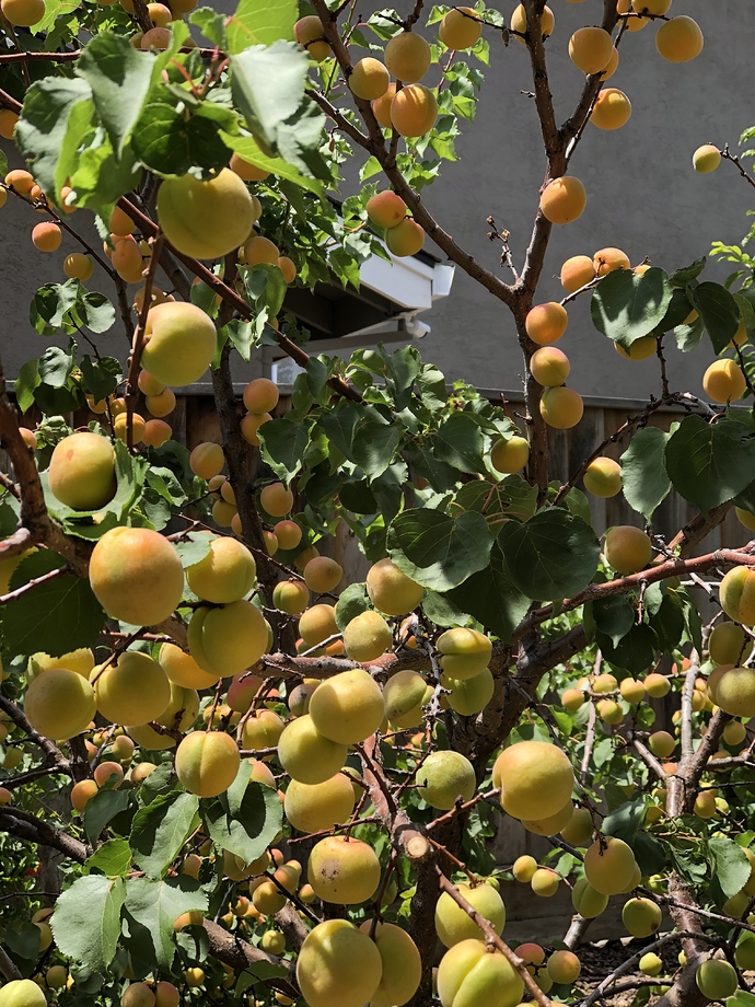 6992124E-B74E-489C-B6A5-5F76D20AF153