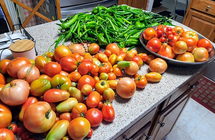 Harvest 08-10-21