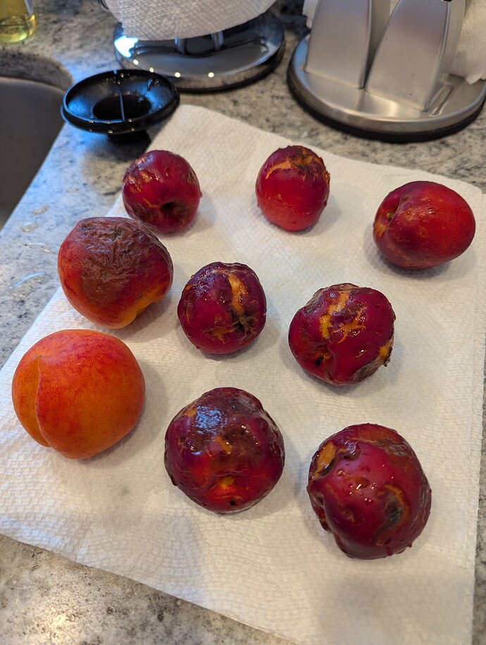 PXL_20250513_235344079