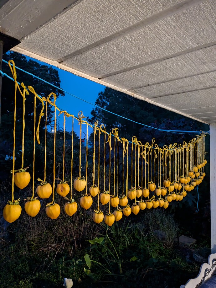 PXL_20241006_232236158.MP