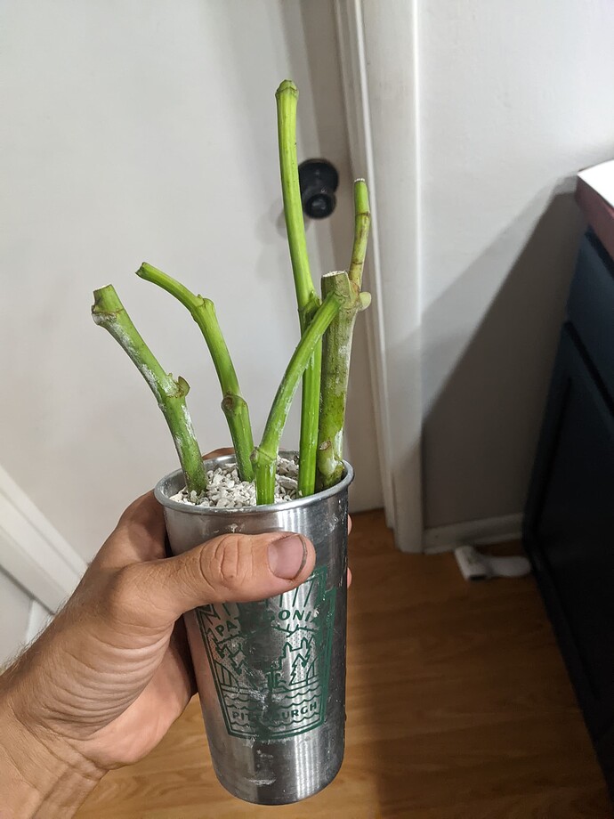 PXL_20220812_010941130