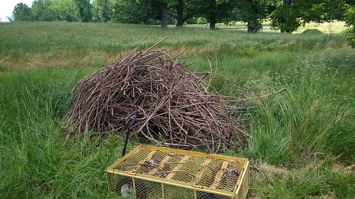 IMG_20210527_133704400