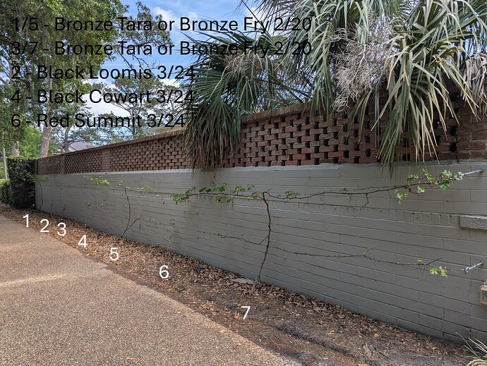 PXL_20250404_170447356