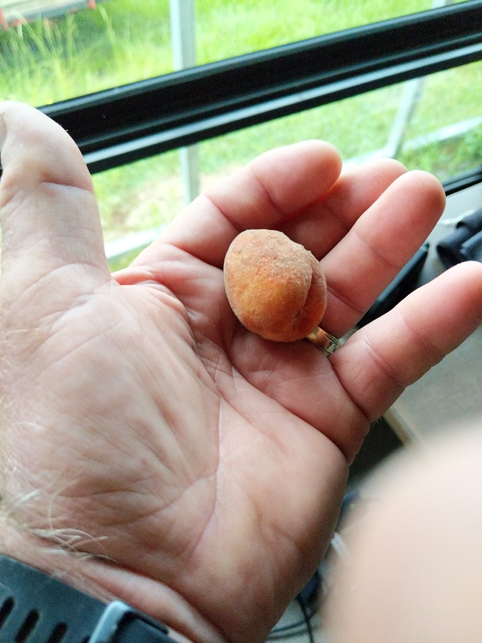 15956823661318061901073512292631