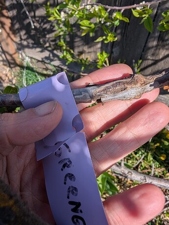 PXL_20250424_163659974