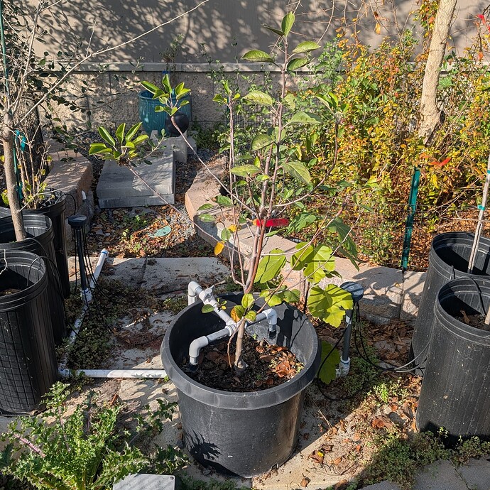 PXL_20250101_221701559