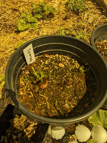 PXL_20240616_210754294