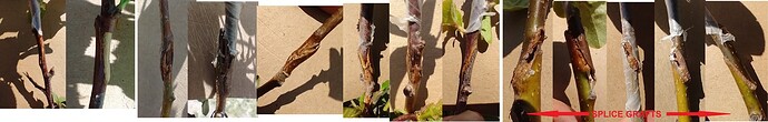 IMG_20230520_140622114