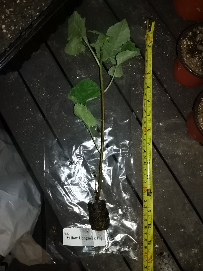 IMG_20190520_192953%5B1%5D