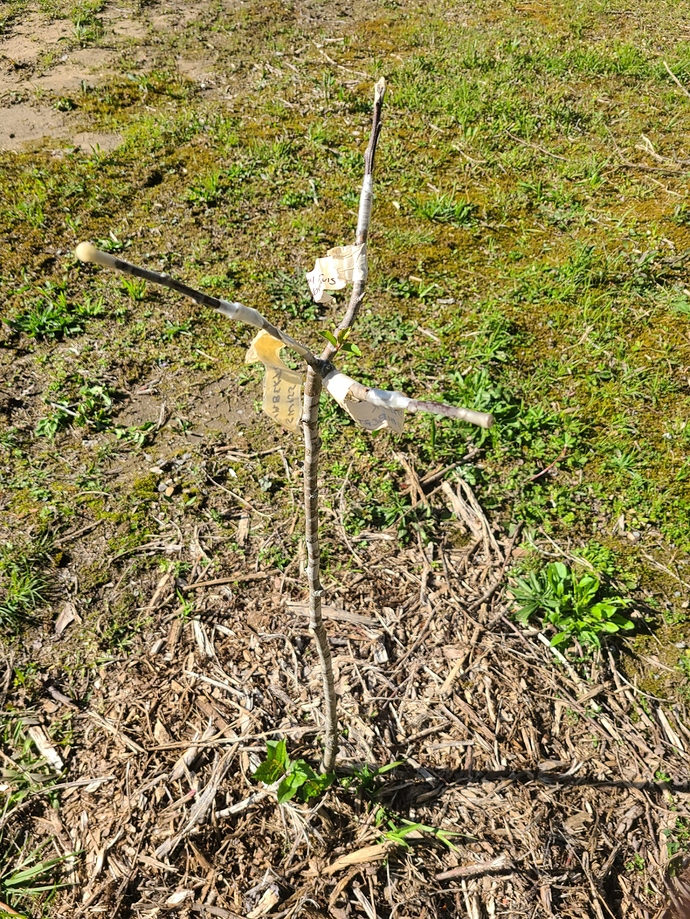 20200421_162951_copy_1612x2149