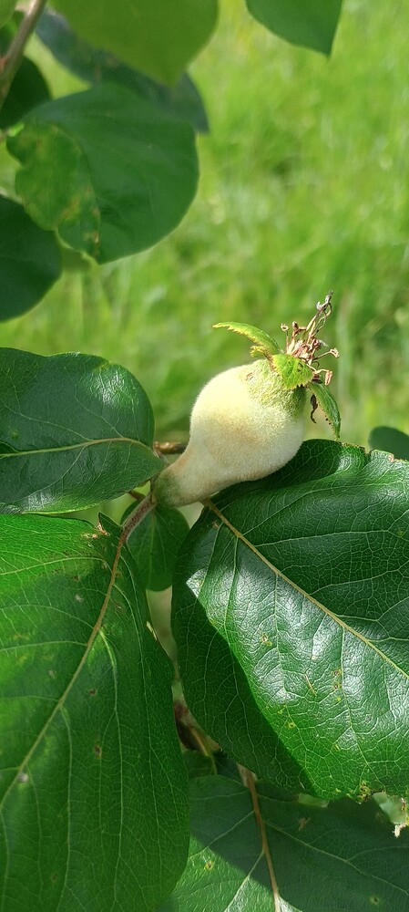 IMG_20250528_105245755_HDR