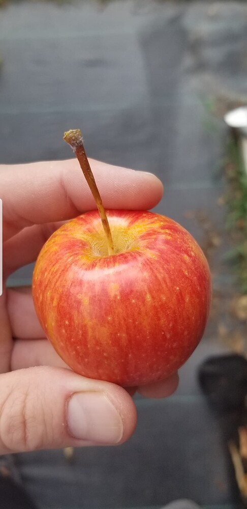 Screenshot_20221015-191327_Photos