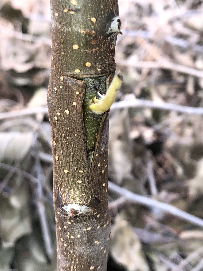 20190628_185204695_iOS