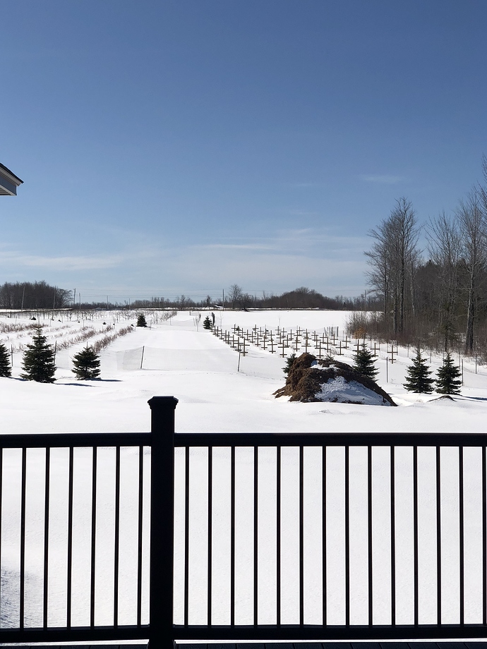 BE8B381B-B69D-437D-88C0-3CEABC9EBB85