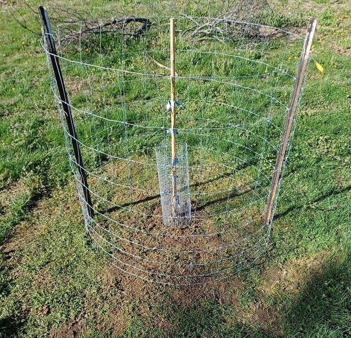 Screenshot_20250408_162738_Gallery