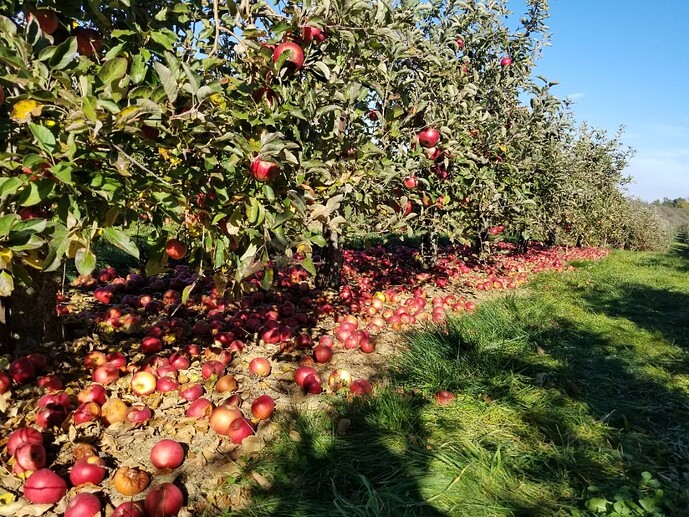 Resizer_17308533779971