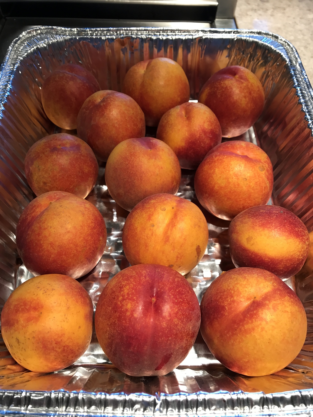 Spice Zee Nectaplum and Snow Queen Nectarine discolorations General