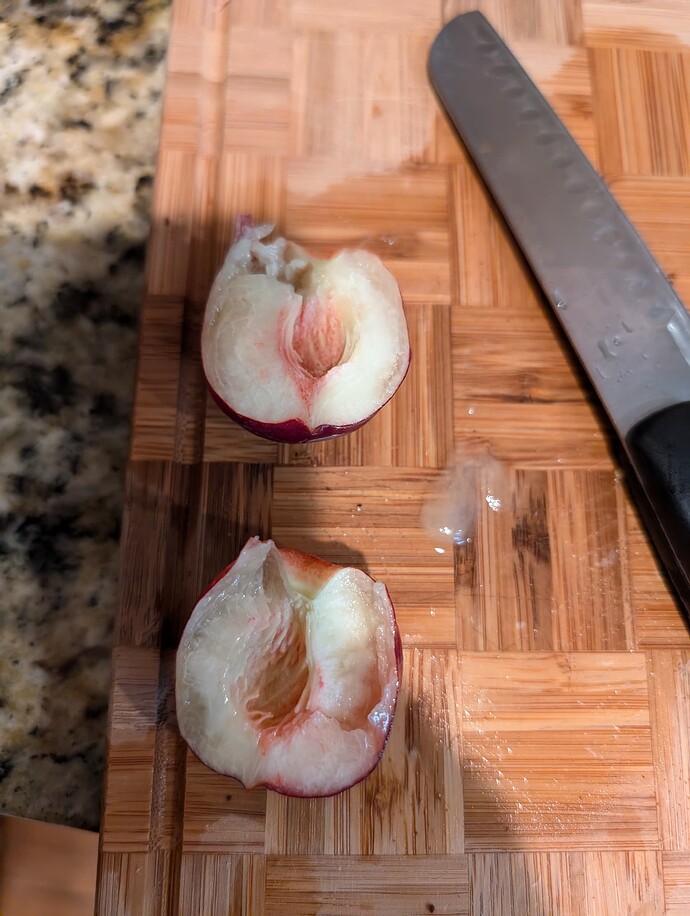 PXL_20240709_140744883