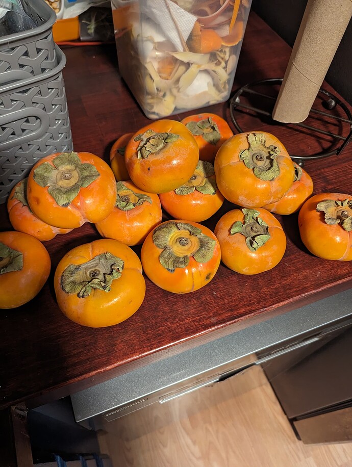 PXL_20231126_001054469.MP