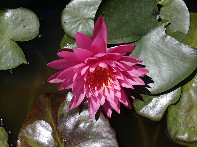 IMG_20220627_143404_1