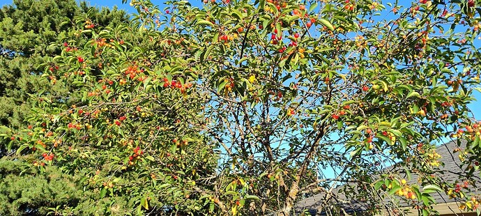 IMG_20250607_185836353_HDR