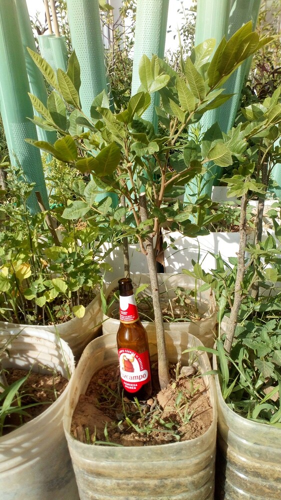 imgonline-com-ua-resizePERCa9DPAzJkCpva