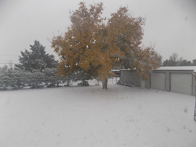 Snow 12 7 17 002
