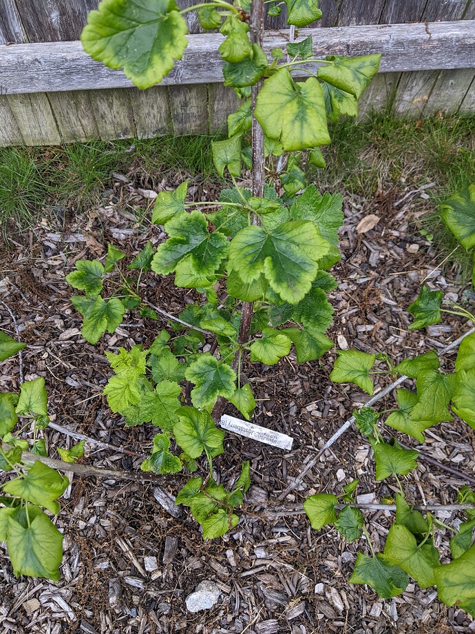 PXL_20220523_222924029