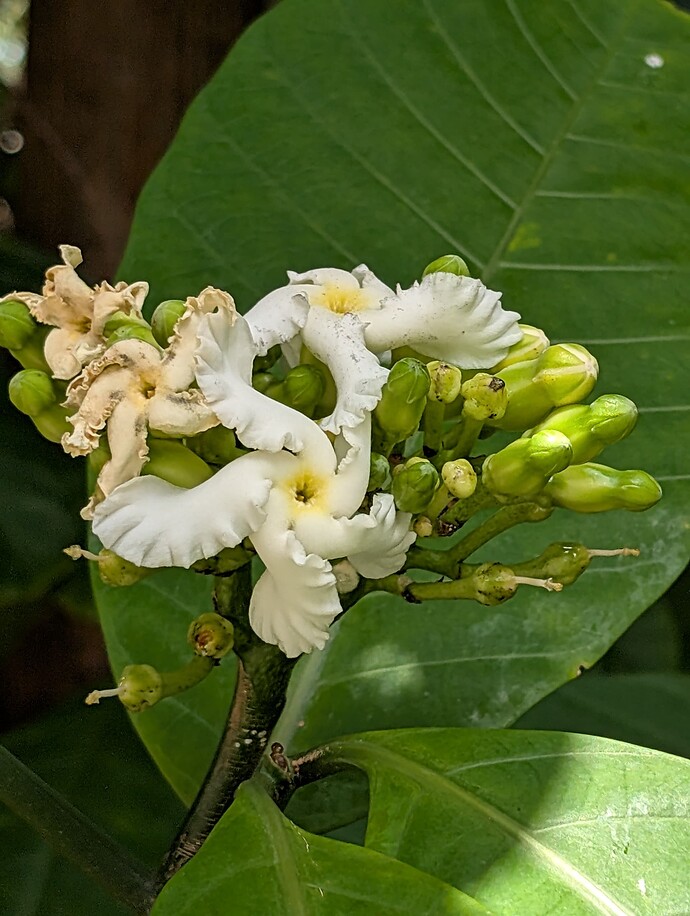 PXL_20250414_150925757
