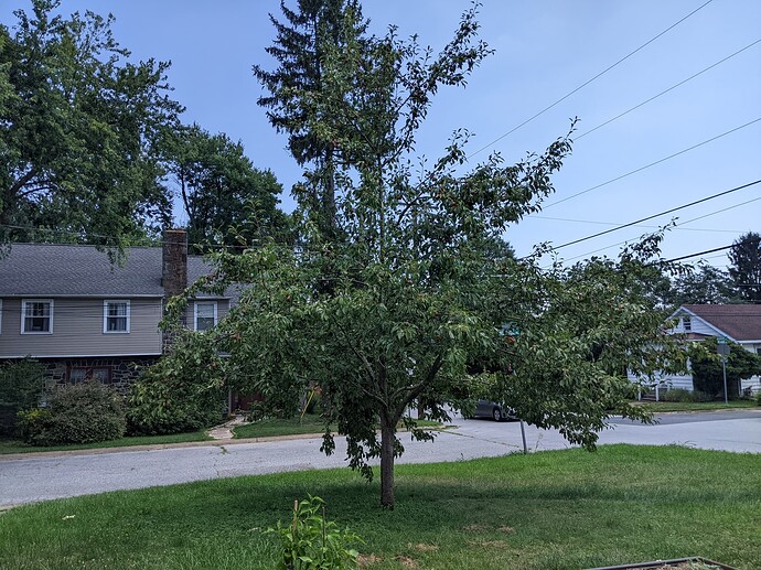 PXL_20220723_181211031