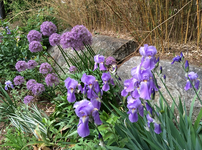 DF664CCF-BB89-4546-8467-6536AEBA8373