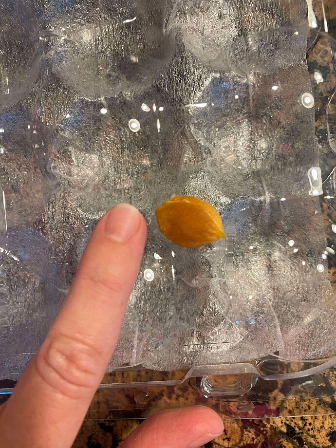 455469787_1064359451690835_2754018181330612718_n