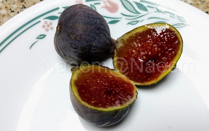 Black%20Madeira%20KK%2011-11-2019%20C