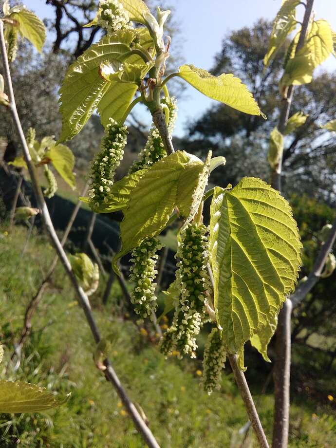 Imagem WhatsApp 2023-04-04 às 11.50.22