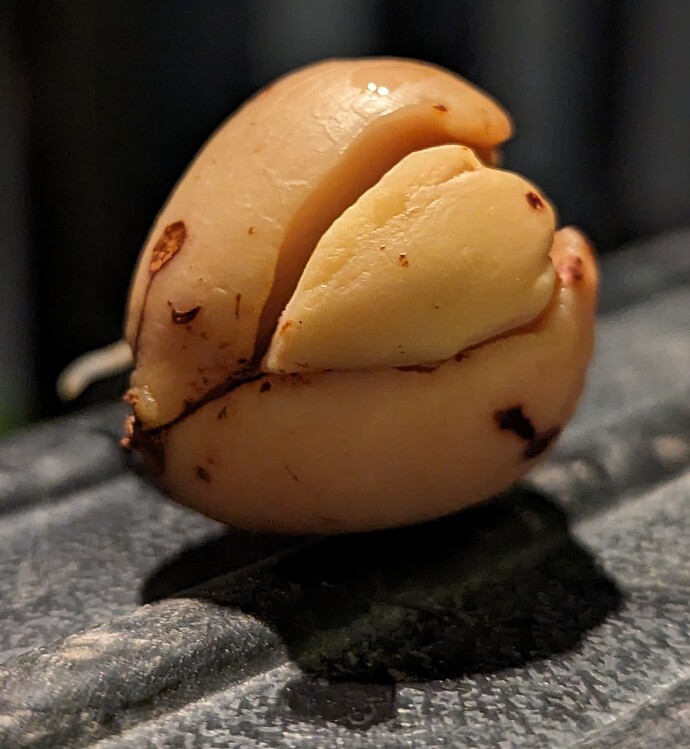 PXL_20230731_043022466