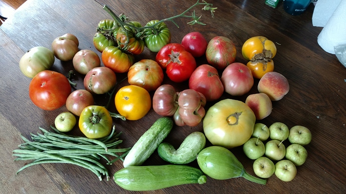 IMG_20200725_105935799