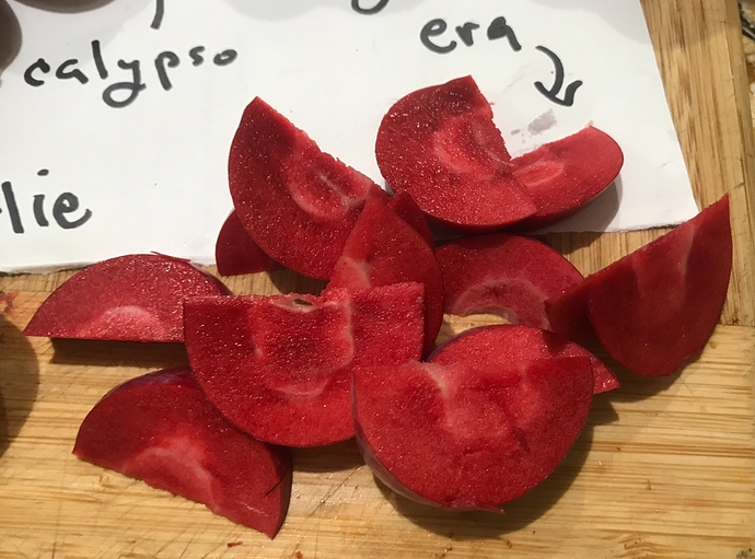 8A999CA0-CD4A-49F8-94DE-9C169D67FF16