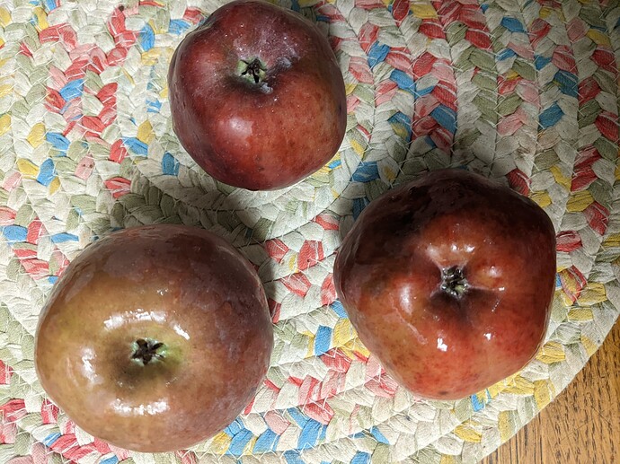 PXL_20230823_003258920