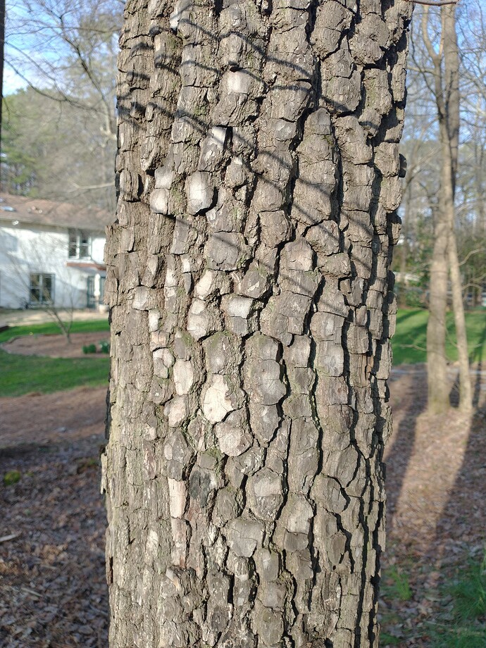 IMG_20240304_171604968