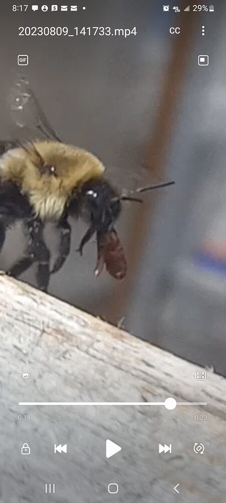 Screenshot_20230809-201715_Video Player