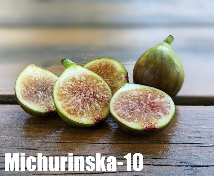 Michurinska-10