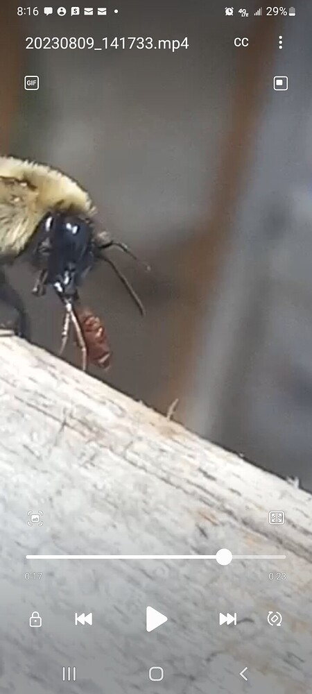 Screenshot_20230809-201639_Video Player