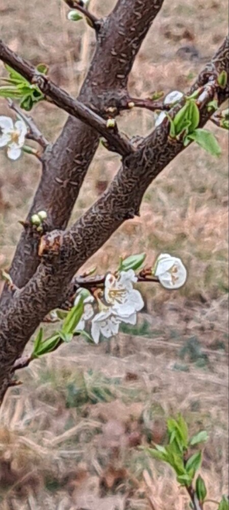 Screenshot_20240704_085627_Gallery