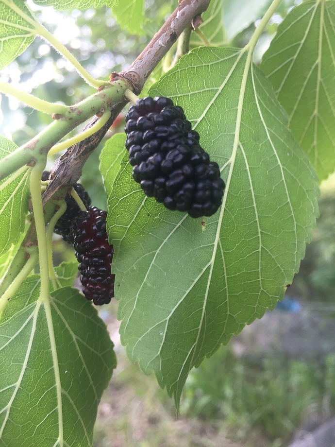 F0AC29E2-D801-4BD2-AD22-D1AF8792791B